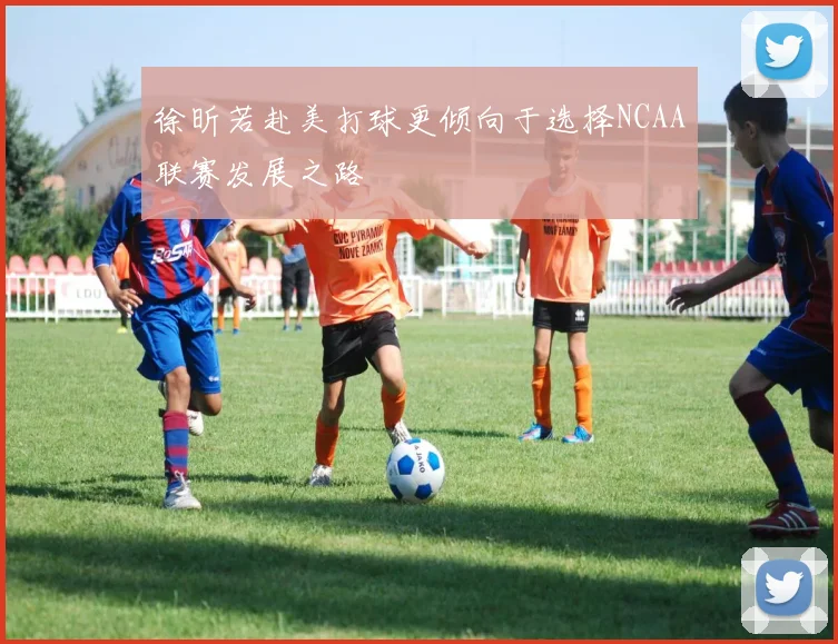 徐昕若赴美打球更倾向于选择NCAA联赛发展之路