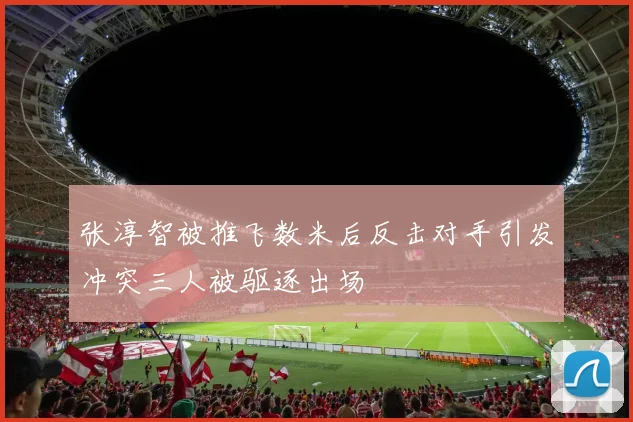 张淳智被推飞数米后反击对手引发冲突三人被驱逐出场