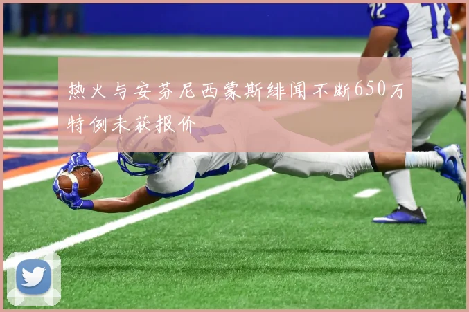 热火与安芬尼西蒙斯绯闻不断650万特例未获报价